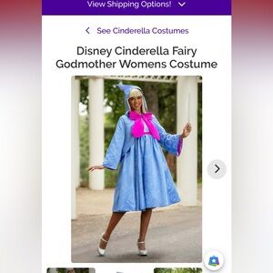 Disney Fairy Godmother Womens Costume - Blue and Pink